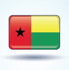 Flag of guinea bissau vector illustration N6