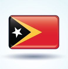 Flag of East Timor vector illustration N5