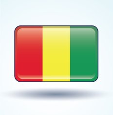 Flag of guinean vector illustration N6