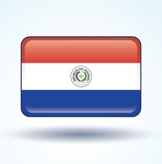 Flag of Paraguay vector illustration N5