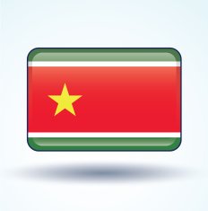 Flag of Guadeloupe vector illustration N6