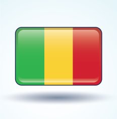 Flag of Mali vector illustration N6