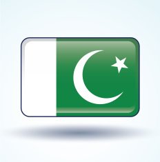 Flag of Pakistan vector illustration N6