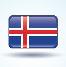 Flag of Iceland vector illustration N5