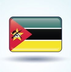 Flag of Mozambique vector illustration N5