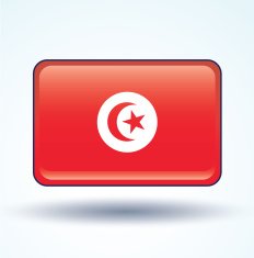 Flag of Tunisia vector illustration N6
