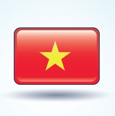 Flag of Vietnam vector illustration N6