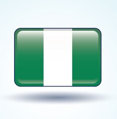 Flag of Nigeria vector illustration N5