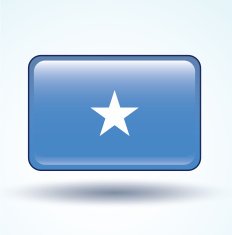 Flag of Somalia vector illustration N5