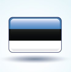 Flag of Estonia vector illustration N5