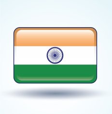 Flag of India vector illustration N6