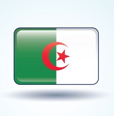 Flag of Algeria vector illustration N5