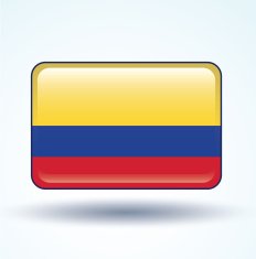 Flag of Colombia vector illustration N5