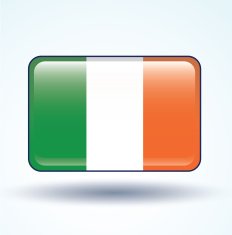 Flag of Ireland vector illustration N5