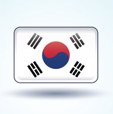 Flag of South korea vector illustration N5