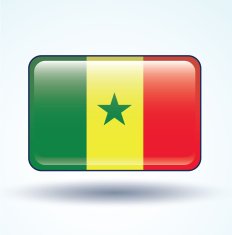 Flag of Senegal vector illustration N5