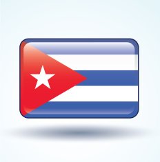 Flag of Cuba vector illustration N5