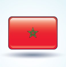 Flag of Morocco vector illustration N5