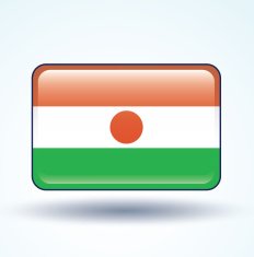 Flag of Republic niger vector illustration N5