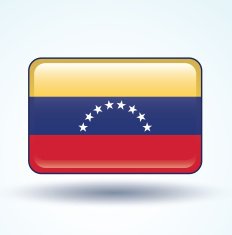 Flag of Venezuela vector illustration N5