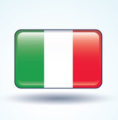 Flag of Italy vector illustration N4