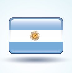 Flag of Argentina vector illustration N4