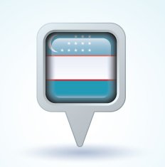 Flag of Uzbekistan vector illustration N14