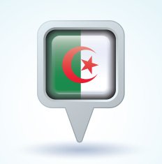 Flag of Algeria vector illustration N6