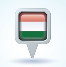 Flag of hungary vector illustration N6