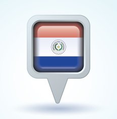 Flag of Paraguay vector illustration N6