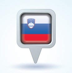 Flag of Slovenia vector illustration N6