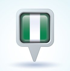 Flag of Nigeria vector illustration N6