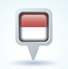 Flag of Indonesia vector illustration N4