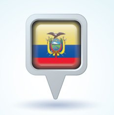 Flag of Ecuador vector illustration N6