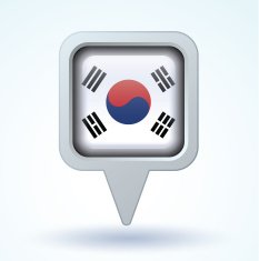 Flag of South korea vector illustration N6