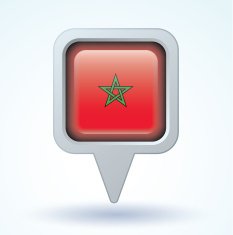 Flag of Morocco vector illustration N6