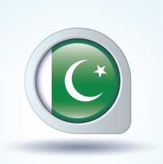 Flag of Pakistan vector illustration N8
