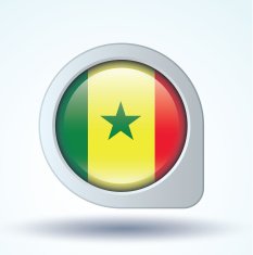 Flag of Senegal vector illustration N6