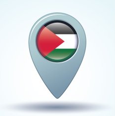 Flag of Palestine vector illustration N6