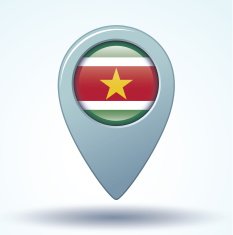 flag of Suriname vector illustration N8
