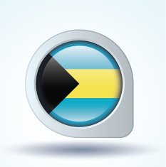 Flag of Bahamas vector illustration N6