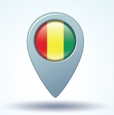 Flag of guinean vector illustration N7