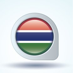Flag of Gambia vector illustration N7