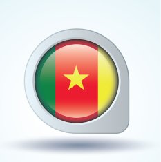 Flag of cameroon vector illustration N7