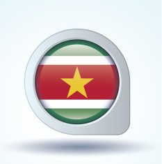 flag of Suriname vector illustration N9