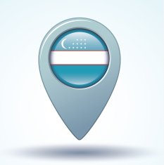Flag of Uzbekistan vector illustration N15