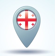 Flag of Georgia vector illustration N8