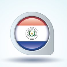 Flag of Paraguay vector illustration N8
