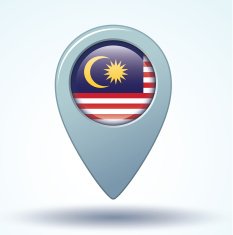 Flag of Malaysia vector illustration N5