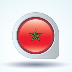 Flag of Morocco vector illustration N7